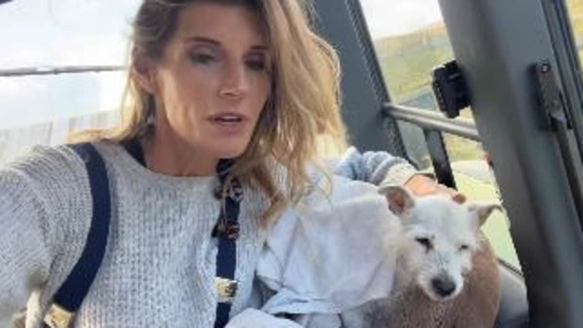 Amanda Owen Faces Heartbreak: A Journey Through Loss at Ravenseat Farm