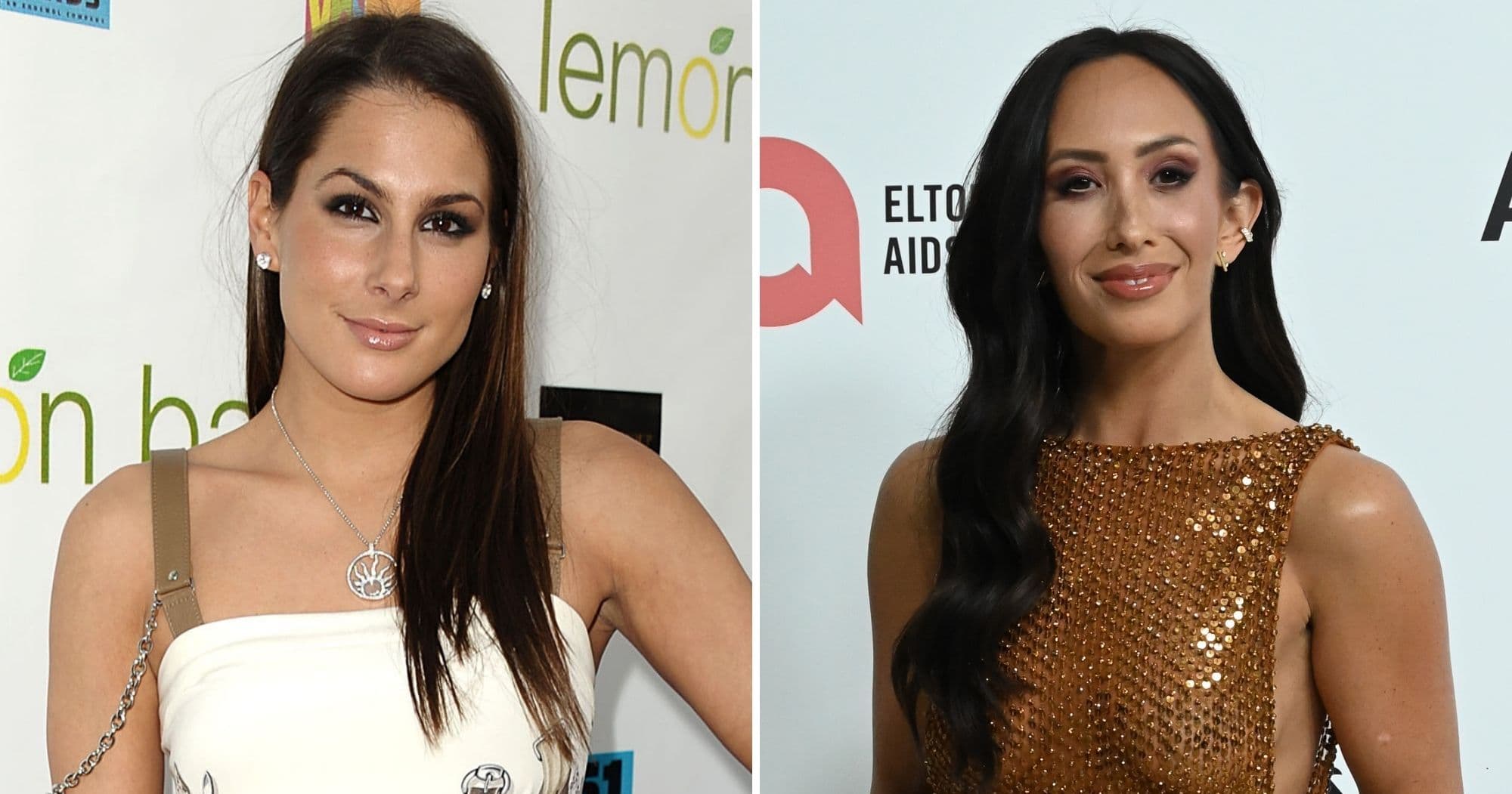 Ashley Dupré Apologizes for Body-Shaming Comments Directed at Cheryl Burke